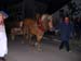 DSCN0606