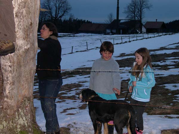 Scouts 3 Etoiles