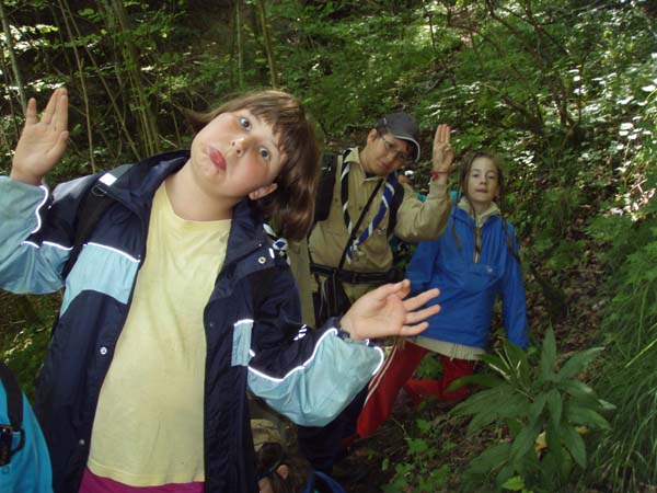 Scouts 3 Etoiles