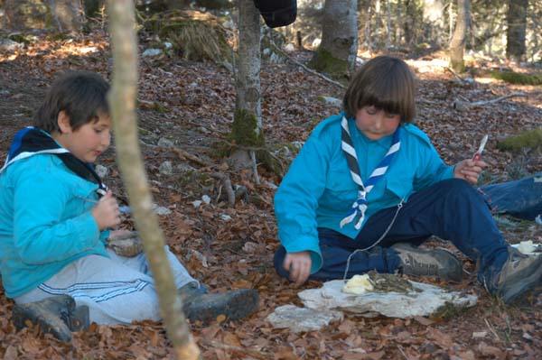 Scouts 3 Etoiles