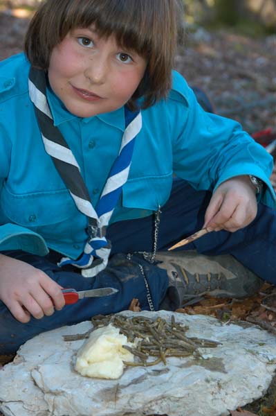 Scouts 3 Etoiles