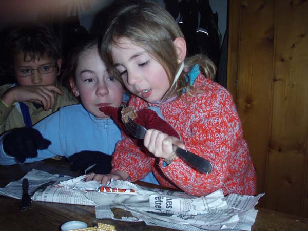 Scouts 3 Etoiles