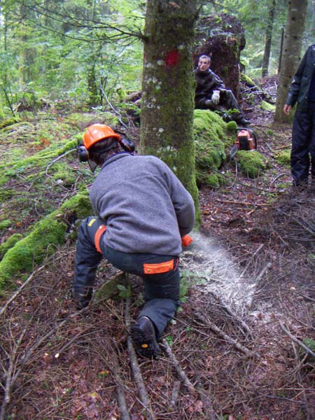 Construction en Bois Brut