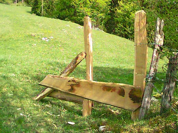 Construction en Bois Brut