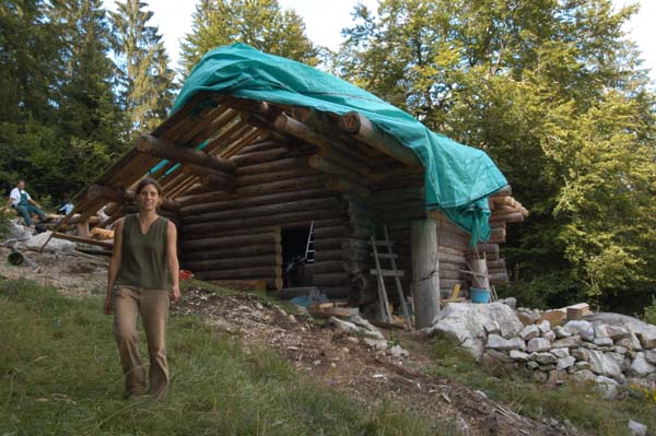 Construction en Bois Brut