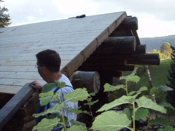 Construction en Bois Brut