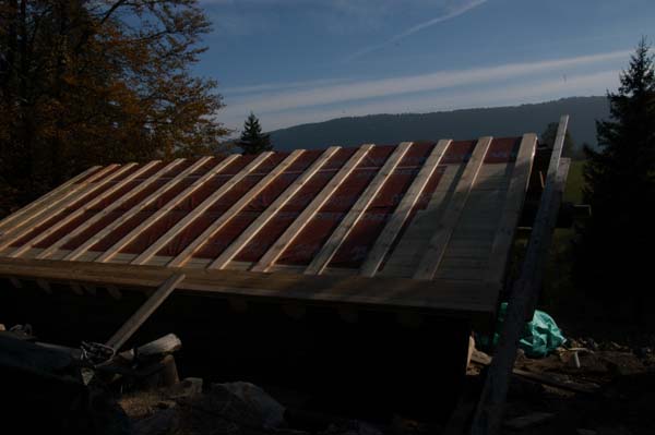 Construction en Bois Brut