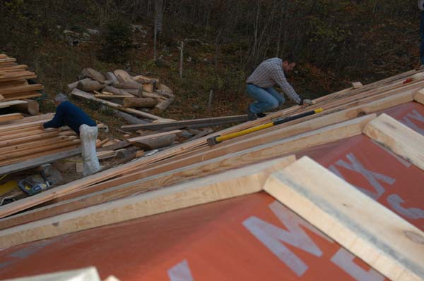 Construction en Bois Brut