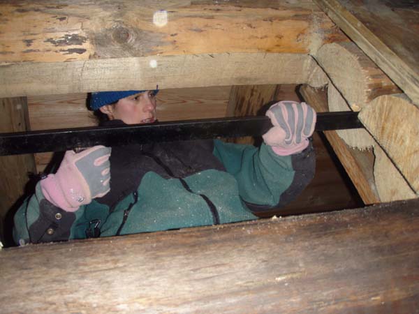 Construction en Bois Brut