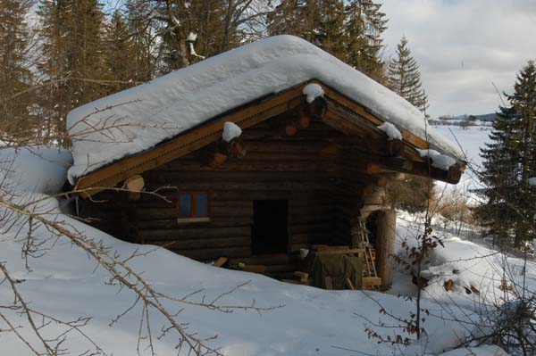 Construction en Bois Brut