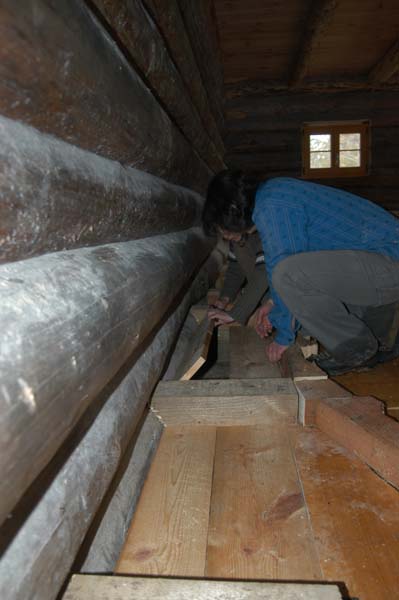 Construction en Bois Brut