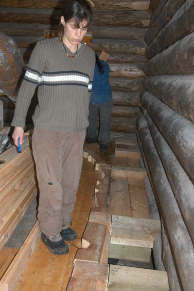 Construction en Bois Brut