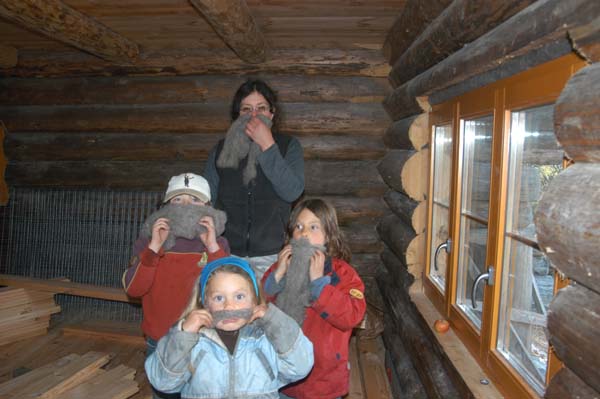 Construction en Bois Brut