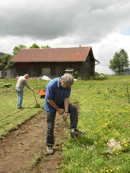 Construction en Bois Brut