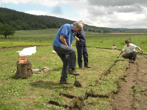 Construction en Bois Brut