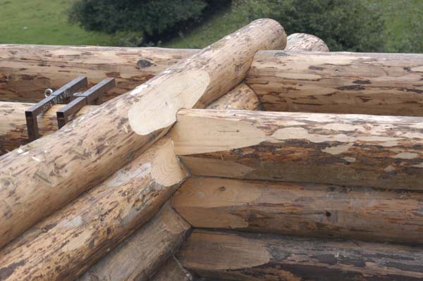 Construction en Bois Brut