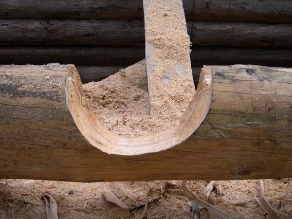 Construction en Bois Brut