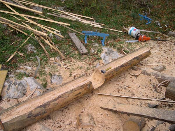 Construction en Bois Brut