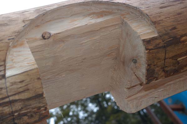Construction en Bois Brut
