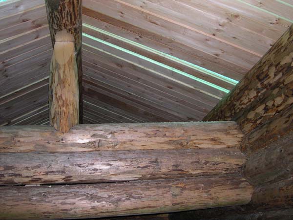 Construction en Bois Brut