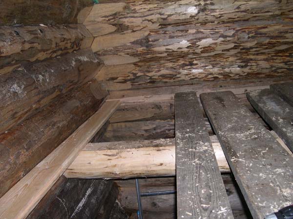 Construction en Bois Brut