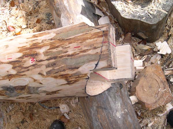 Construction en Bois Brut