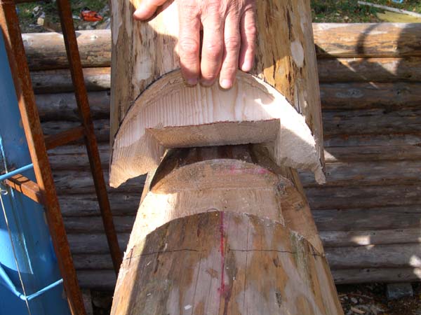 Construction en Bois Brut