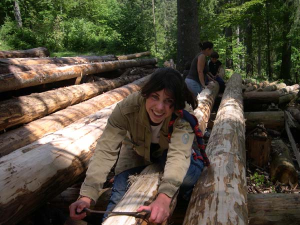Construction en Bois Brut