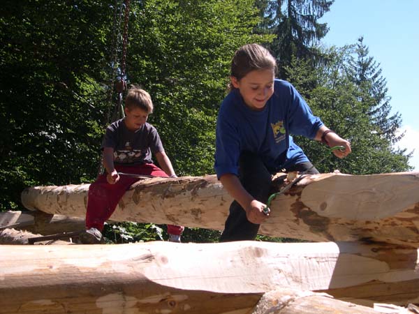 Construction en Bois Brut