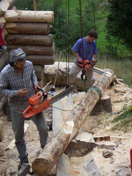 Construction en Bois Brut