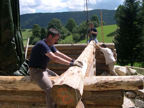 Construction en Bois Brut