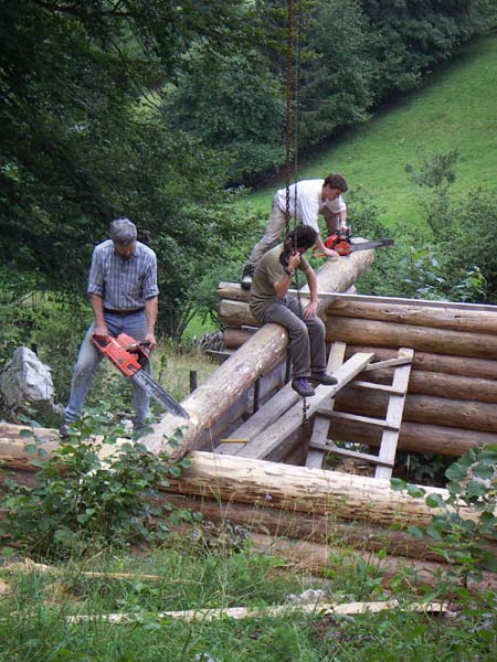 Construction en Bois Brut