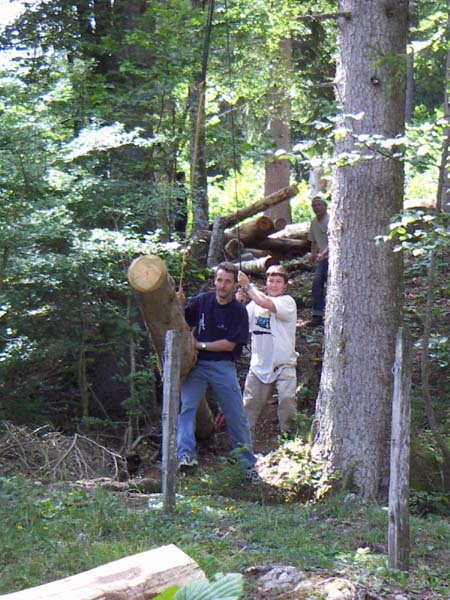 Construction en Bois Brut