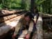 05_DSCN0539