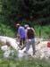 10_PICT2613
