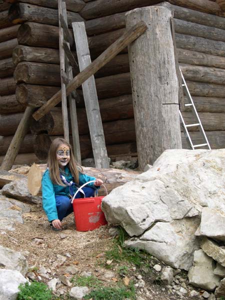 Construction en Bois Brut