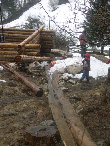 Construction en Bois Brut