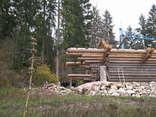 Construction en Bois Brut