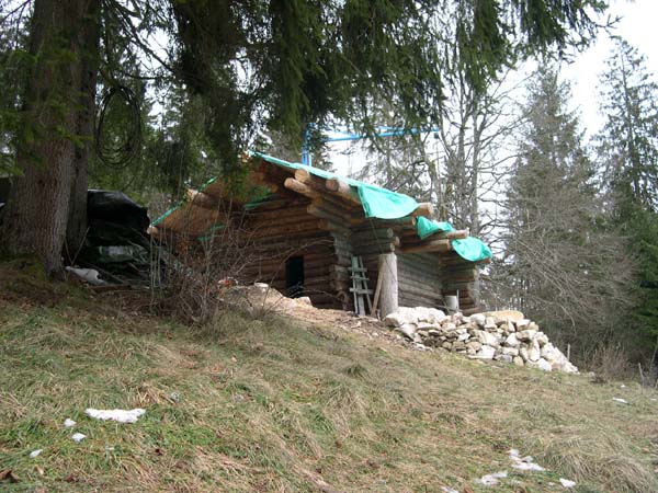 Construction en Bois Brut
